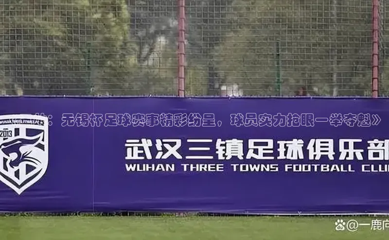恒行6手机登录入口慧博云通《王帅：无锡杯足球赛事精彩纷呈，球员实力抢眼一举夺魁》