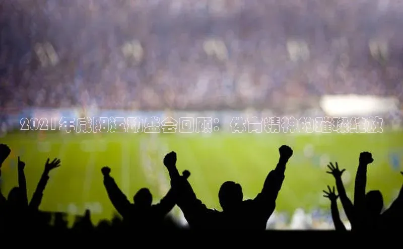 2021年咸阳运动盛会回顾：体育精神的璀璨绽放